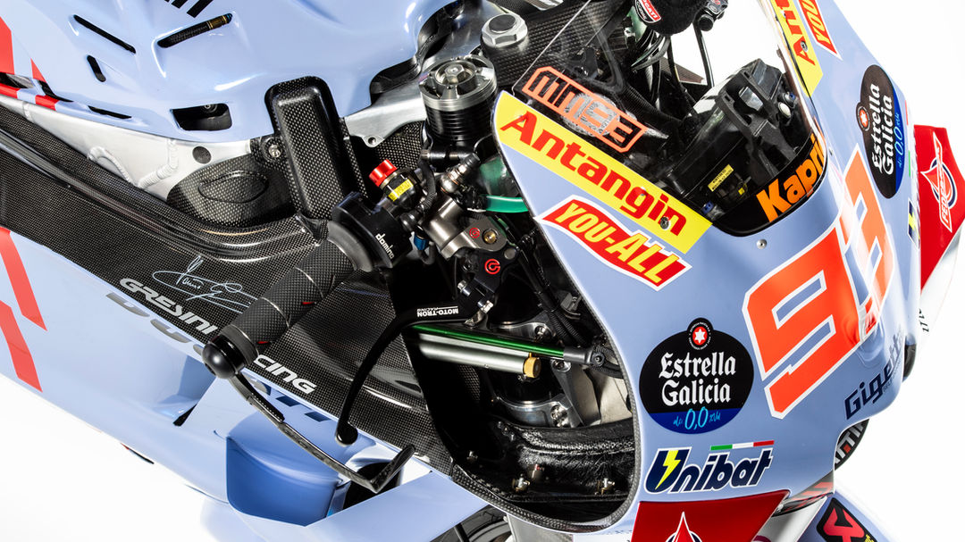 MOTO-TRON PRO Series Lever Guard